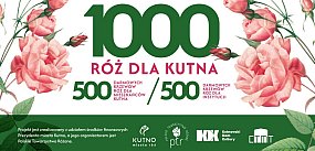 Gdzie i kiedy odebrać sadzonki róż w Kutnie