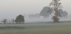 Bogdan Rozważny: Smog