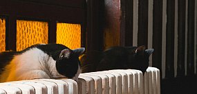 W tym roku kutnianom bon ciepłowniczy nie przysługuje