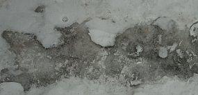 Zimowy test miasta oblany? Mieszkańcy alarmują