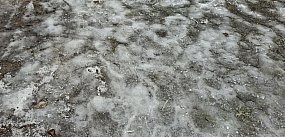 Kutno: Miasto odpowiada na oskarżenia o brak kontroli