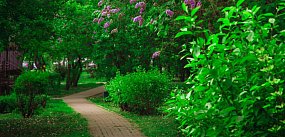 Eko-Parki powstaną w Krośniewicach i Grabowie