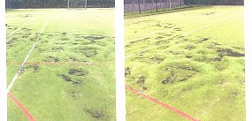 Żychlin: Radni interweniują w sprawie boiska