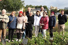 18 róż na 18-lecie UTW w Kutnie-20167
