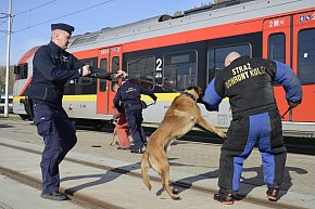 Szkolenie dla przewodników psów-20198