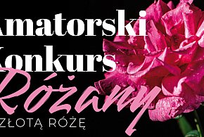 Przynieś różę ze swojego ogródka. Amatorski Konkurs Różany 2025-70627