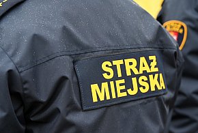 Zapuka strażnik, zapłacisz karę. Ruszyły kontrole w całej Polsce-71401