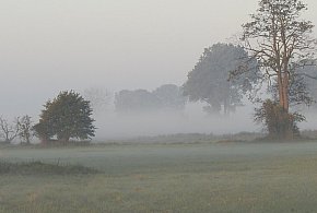 Bogdan Rozważny: Smog-71651