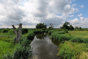 Co dalej z nowym parkiem narodowym? Minister klimatu zdradza plan po wecie-72011