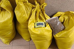 51-latek przewoził lewy tytoń i papierosy-72140