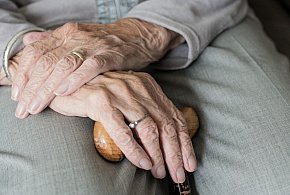 Te osoby dostaną dwie emerytury w grudniu. ZUS przesuwa przelewy-72341