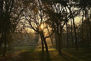 Nadchodzi najkrótszy dzień w 2025 roku. Sprawdź, kiedy przypadnie-72916