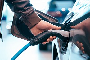 Coraz częściej dochodzi do takich kradzieży. Powody zaskakują-73504