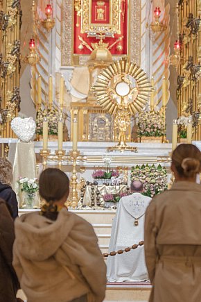 Różaniec rodzin i za rodziny-20158