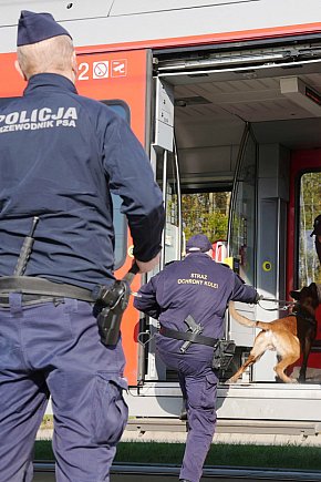 Szkolenie dla przewodników psów-20198