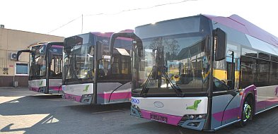 Wszystkich Świętych. Sprawdź zmiany w komunikacji miejskiej w Kutnie-71741