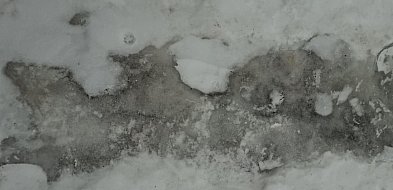 Zimowy test miasta oblany? Mieszkańcy alarmują, włodarze odpowiadają