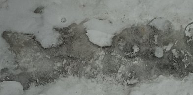 Zimowy test miasta oblany? Mieszkańcy alarmują, włodarze odpowiadają