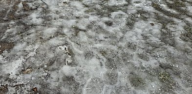 Kutno: Miasto odpowiada na oskarżenia o brak kontroli i korupcję