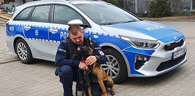 Waluta w służbie – witamy nowego psa policyjnego!