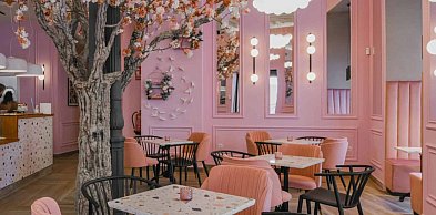 Fantazja Homedecor — studio dekoracji wnętrz w Opolu