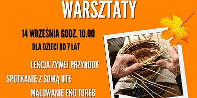 Spotkanie z sową Ute i warsztaty artystyczne dla dzieci i dorosłych w Leszczynku-70631
