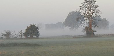 Bogdan Rozważny: Smog-71651