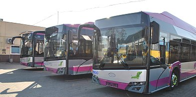 Wszystkich Świętych. Sprawdź zmiany w komunikacji miejskiej w Kutnie-71741