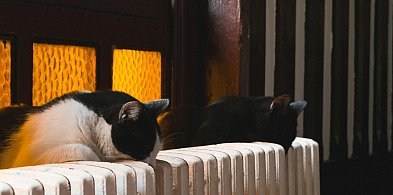 W tym roku kutnianom bon ciepłowniczy nie przysługuje-71930