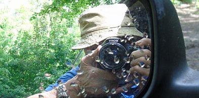 Bogdan Rozważny: Życzliwi przyrodzie-71939