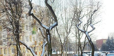 Bogdan Rozważny: Brzemię czasu-72663