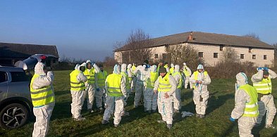 Ponad 50 żołnierzy 9 ŁBOT przeszukuje teren po wykryciu ASF u dzika-72780