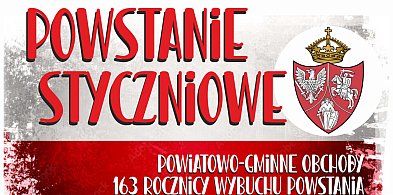 163. rocznicy wybuchu Powstania Styczniowego: powiat, gmina, miasto-73474