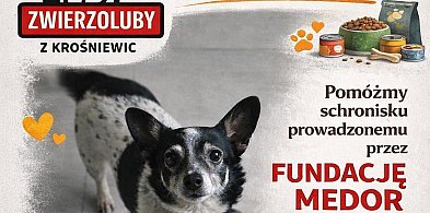 Ruszyła zbiórka na rzecz schroniska Medor. Zwierzęta pilnie potrzebują karmy-73483