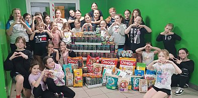 Zawodniczki z Softballowego Klubu Sportowego wspierają schronisko Medor