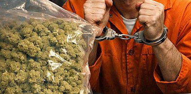 Krośniewice: Recydywista zatrzymany z marihuaną. grozi mu 15 lat za kratkami