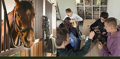 Nowoczesny sprzęt z KPO, milionowe inwestycje w internat w szkole w Mieczysławowie