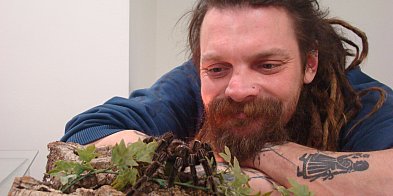 Pająki nie takie straszne jak je malują w Żychlińskim Domu Kultury-72149