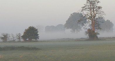 Bogdan Rozważny: Smog-71651