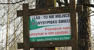 Niezastąpieni – wzruszający film o codziennej pracy lekarzy weterynarii-72095