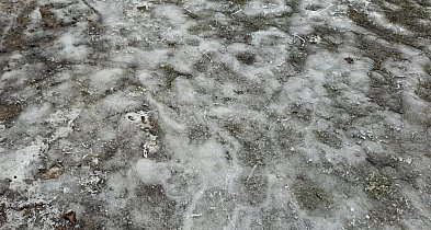 Kutno: Miasto odpowiada na oskarżenia o brak kontroli i korupcję