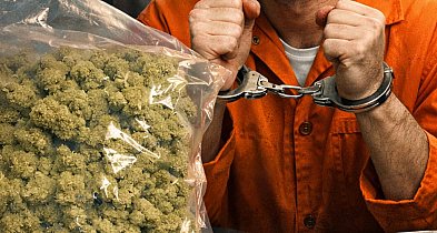 Krośniewice: Recydywista zatrzymany z marihuaną. grozi mu 15 lat za kratkami