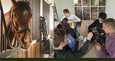 Nowoczesny sprzęt z KPO, milionowe inwestycje w internat w szkole w Mieczysławowie