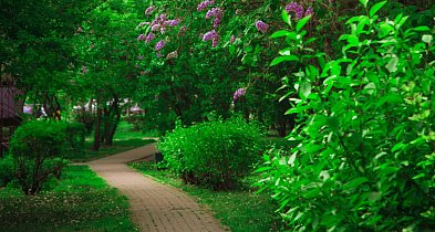 Eko-Parki powstaną w Krośniewicach i Grabowie