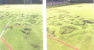 Boisko się zużyło, spór się zaostrza. Żychlińscy radni kontra burmistrz