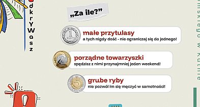 Od poniedziałku Kiermasz Książek Przeczytanych: setki książek dla dzieci i dorosły