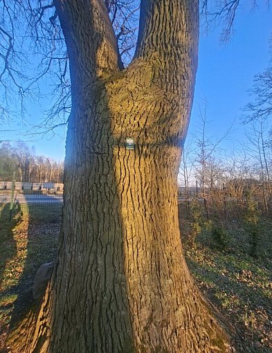 Rozbudowa DK60 wciąż budzi gniew: To nie konsultacje, to farsa