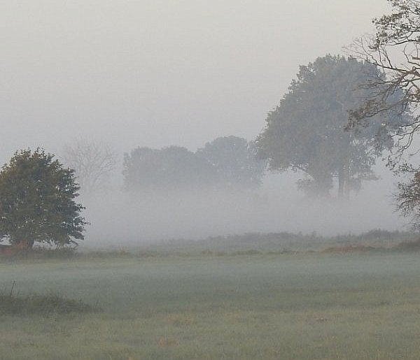 Bogdan Rozważny: Smog-71651