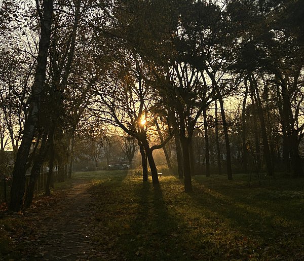Nadchodzi najkrótszy dzień w 2025 roku. Sprawdź, kiedy przypadnie-72916