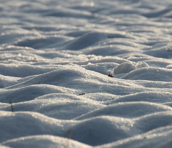 Leżał w zaspie. Dzielnicowi z Krośniewic uratowali mężczyznę-73405